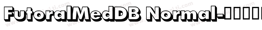 FutoralMedDB Normal字体转换